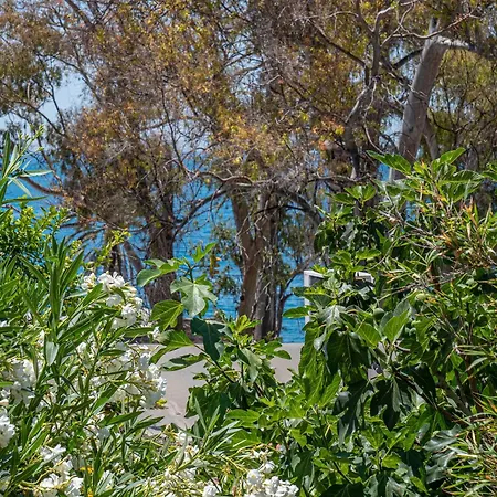 Apartamento Blue Sea - With Terrace